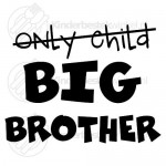 Big brother textsked