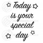 Today is your special day text spoon