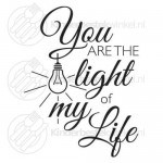 You are the light of my life text spoon